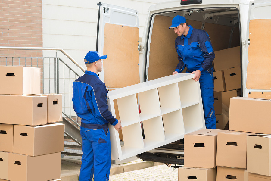 Professional Country Movers